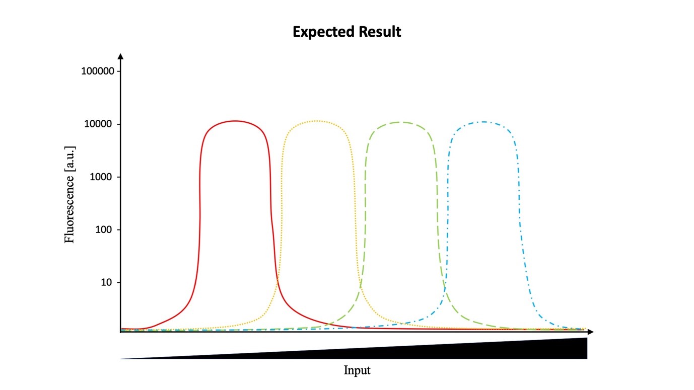 Expected Result